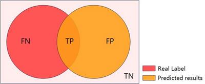 A series of methods incorporating deep learning and computer vision techniques in the study of fruit fly (Diptera: Tephritidae) regurgitation